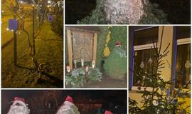 Gražiausios rajono savivaldybės lauko erdvės