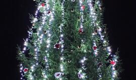 Gražiausios rajono savivaldybės lauko erdvės