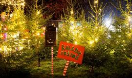 Gražiausios rajono savivaldybės lauko erdvės