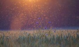 Pirmadienio horoskopas 12 zodiako ženklų