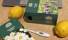 Sergančiojo koronavirusu dienoraštis (13)