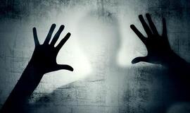 Sergančiojo koronavirusu dienoraštis (15)