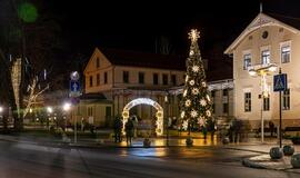 Sužibo Palangos ir Šventosios Kalėdų eglės