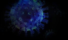 Vėl perkopėme 3 tūkst. naujų koronaviruso atvejų, mirė 44 žmonės