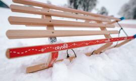 Kas dešimtame „Citybee“ automobilyje - rogutės