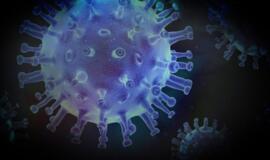 NVSC informuoja apie sausio 8 dienos COVID-19 protrūkius