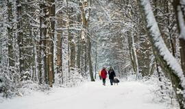 Olando kepurė karantino metu