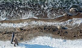 Olando kepurė karantino metu