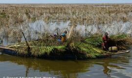 Afrikos Venecija ant pastolių