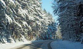 Olando kepurė karantino metu