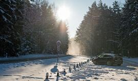 Olando kepurė karantino metu