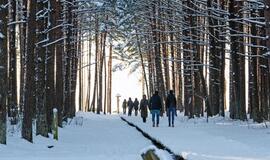 Olando kepurė karantino metu