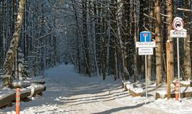 Olando kepurė karantino metu