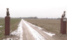 Vienintelis Lietuvoje: štai kaip atrodo augintinių krematoriumas