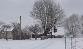 Žemdirbiai: istorija rodo, kad per pandemijas kaimo žmonės išlikdavo sveikiausi