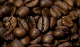 Antradienio horoskopas 12-ai zodiako ženklų