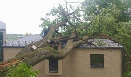 Gamtos stichijos įrodė – neturint draudimo tenka plačiai atverti pinigines