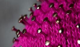 Ištyrus 3803 ėminius, 491 naujas koronaviruso atvejis