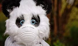 Ištyrus 4949 ėminius, 356 nauji koronaviruso atvejai ir 9 mirtys