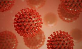 Ištyrus 7494 ėminius, 538 nauji koronaviruso atvejai ir 6 mirtys