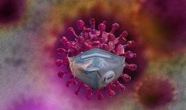 Ištyrus 8209 ėminius, 624 nauji koronaviruso atvejai ir 13 mirčių