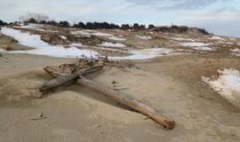 Klaipėdoje – mokymai žurnalistams apie religijų ir įsitikinimų laisvę