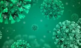 NVSC informuoja apie vasario 5 dienos COVID-19 protrūkius