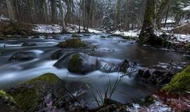 Penktadienio horoskopas 12-ai zodiako ženklų