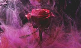 Penktadienio horoskopas 12-ai zodiako ženklų