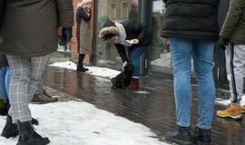 Protestuojančios kavinės