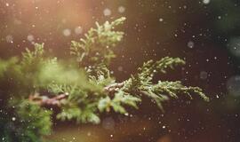 Pirmadienio horoskopas 12-ai zodiako ženklų