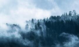 Sekmadienio horoskopas 12-ai zodiako ženklų