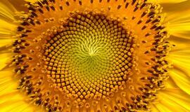 Trečiadienio horoskopas 12-ai zodiako ženklų