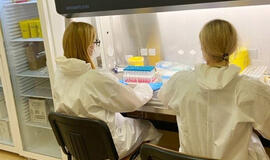 Kaupinių PGR tyrimas