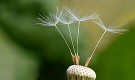 Penktadienio horoskopas 12-ai zodiako ženklų