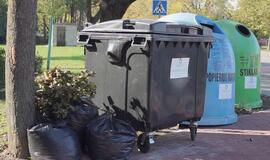 Šakos ir pernykščiai lapai – ne problema, sužinokite, kur juos dėti