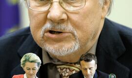 V. Landsbergis paskelbė diagnozę Europai. Arūno Bernacko koliažas