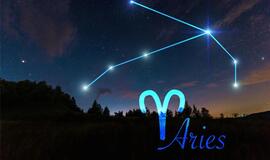 Horoskopas Avinui 2022 m. rugsėjį: apie ką įspėja astrologai