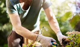 Kurie Zodiako ženklai nebijo sunkaus fizinio darbo?