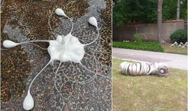 Kompozicija „Miesto sodas“