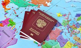 Neįleista į Vokietiją rusė apsipylė ašaromis