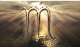 Rugpjūčio mėnesio horoskopas Skorpionamas