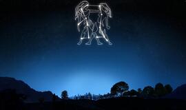 Spalio mėnesio horoskopas Dvynių Zodiako ženklui