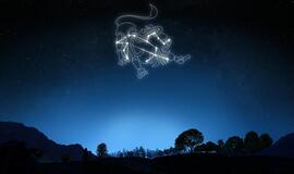 Spalio horoskopas Liūto Zodiako ženklams