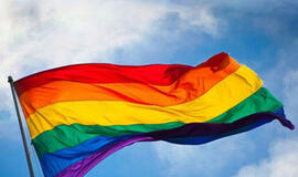 Vyriausybė spręs, ar kreiptis į KT dėl draudimo skatinti LGBTIQ šeimos sampratą