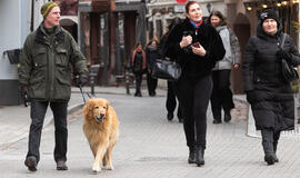 Aštuoni iš dešimties lietuvių mano, kad situacija šalyje blogėja