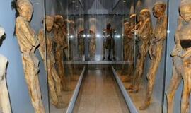 Keliaujančios Meksikos mumijos yra mirtinai pavojingos žmonėms