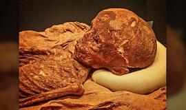 Romėnų-egiptiečių vaiko mumija iš Egipto Ptolemėjų laikotarpio