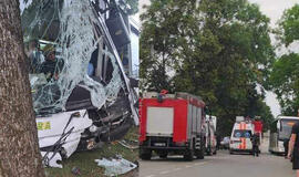 Prienuose nuo kelio nuvažiavo ir į medį atsitrenkė autobusas, sužaloti 10 žmonių