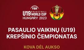 Pasaulio vaikinų (U-19) krepšinio čempionato finalas